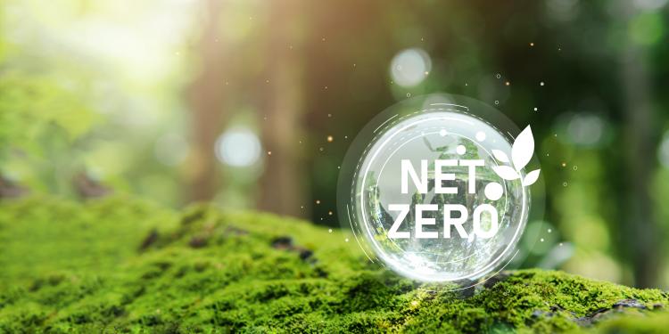 Net zero image