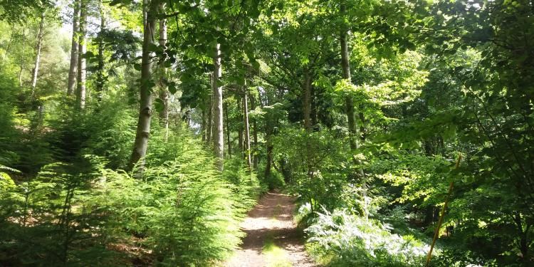 Exmoor National Park landscape