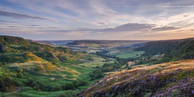 Great Fryup Dale