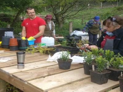 Tree nursery
