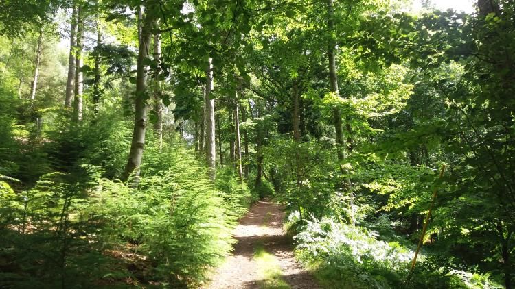 Exmoor National Park landscape