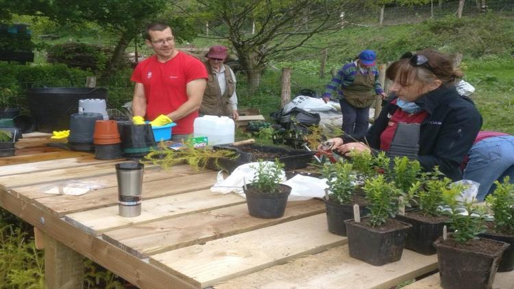 Tree nursery