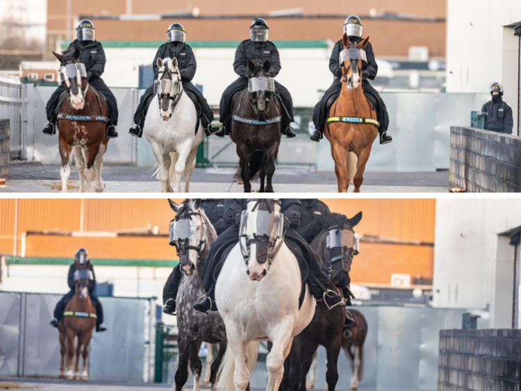 A collage of police horses being ridden by officers.  
