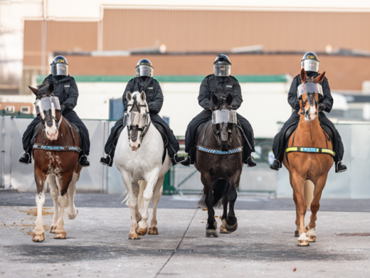 Four different coloured horses wearing visors are ridden by police officers wearing riot gear.