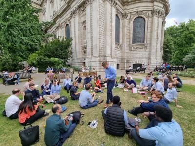 Salix picnic